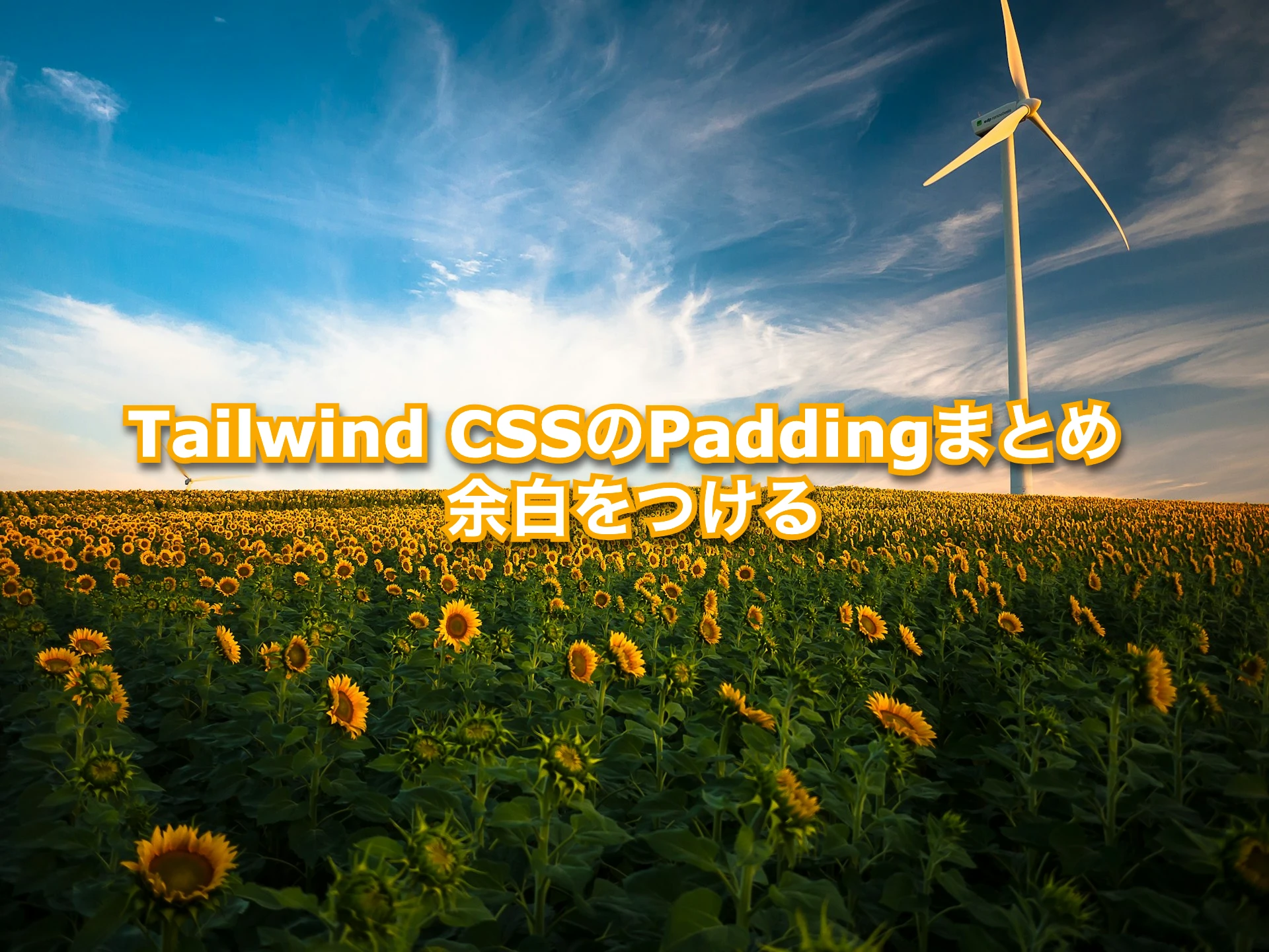 Tailwind CSSのPadding系まとめ ・余白をつける