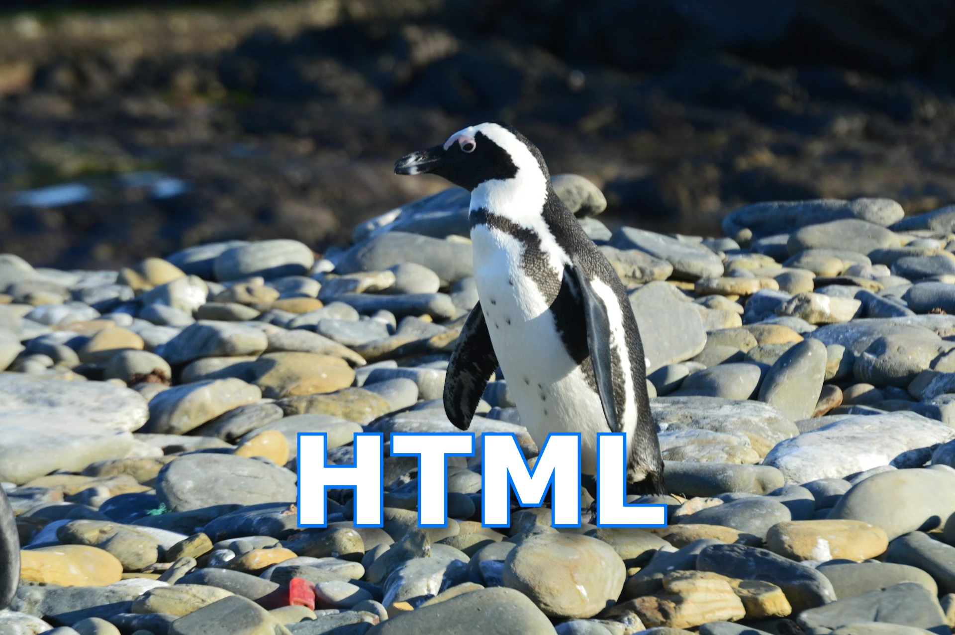 html