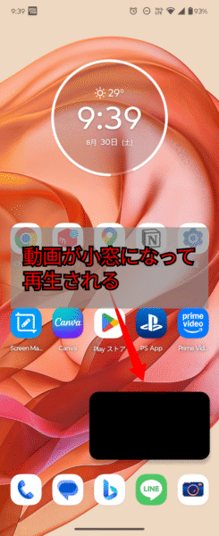 PIPモード確認: PIPモードになる