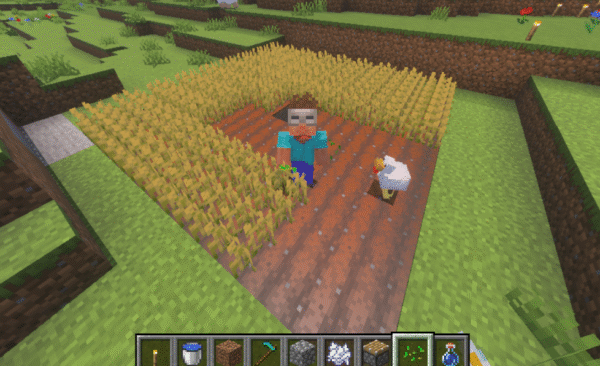 マインクラフトの畑とは?