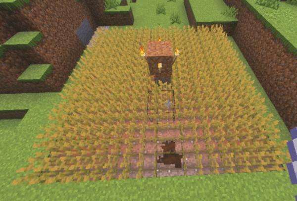 畑に光源を設置する