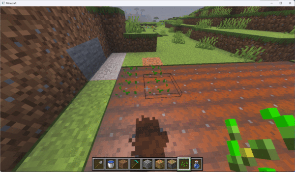 小麦の種を植える